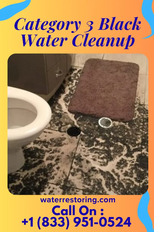 Category 3 Black Water Cleanup in Tenstrike, MN