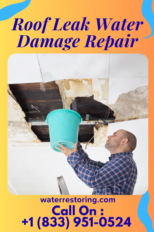 Roof Leak Water Damage Repair in Tenstrike, MN